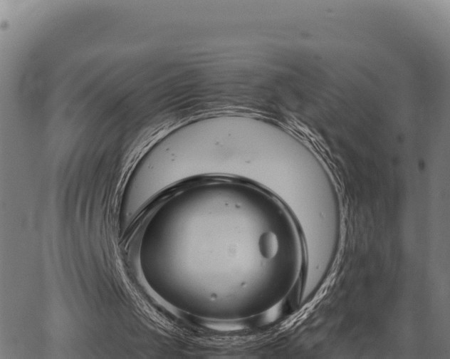 X0000067000049200603311624