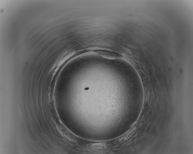 X0000067000050200603311624