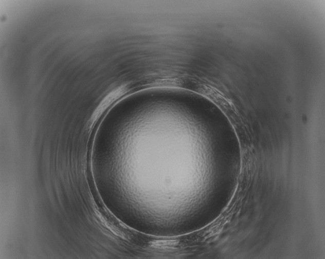 X0000067000051200603311624