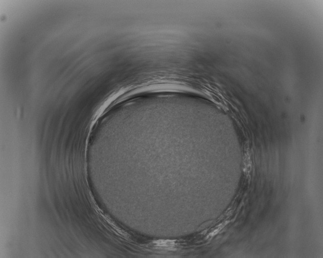 X0000067000052200603311624