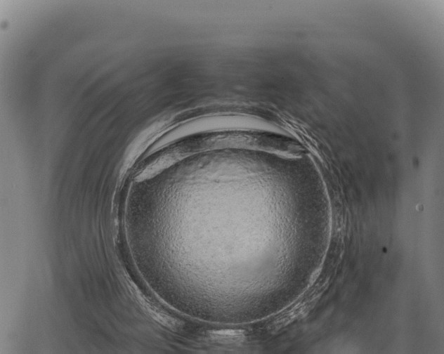 X0000067000053200603311625