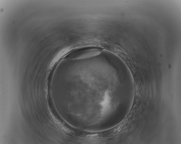 X0000067000054200603311625