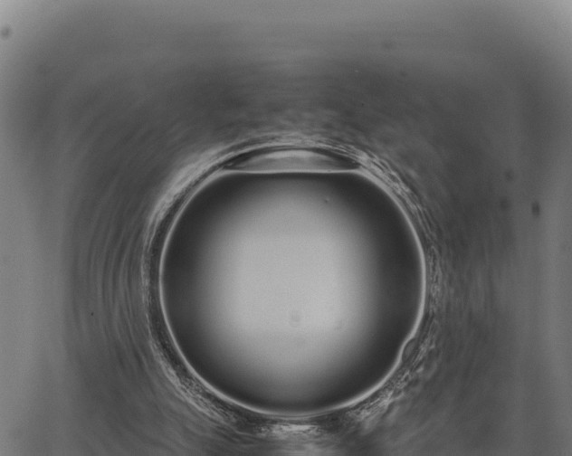 X0000067000055200603311625