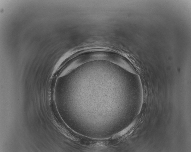 X0000067000056200603311625