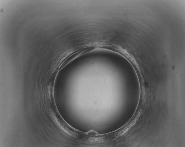 X0000067000057200603311625