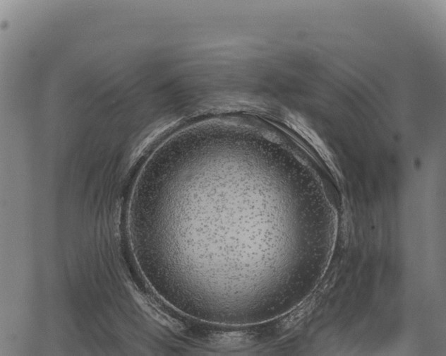 X0000067000058200603311625