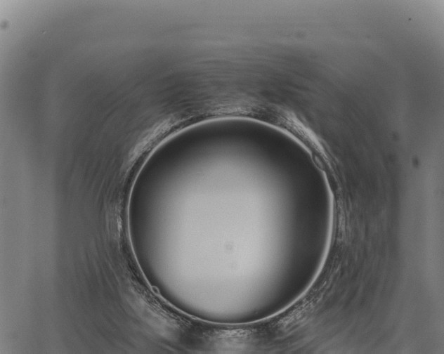 X0000067000059200603311625