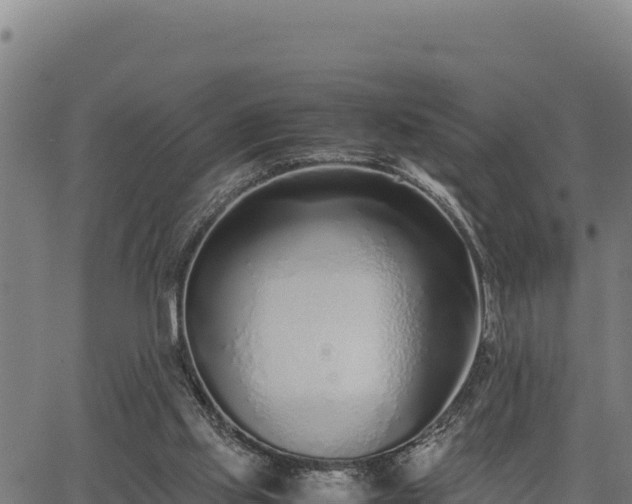 X0000067000061200603311625