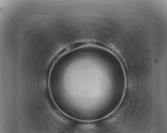 X0000067000063200603311625