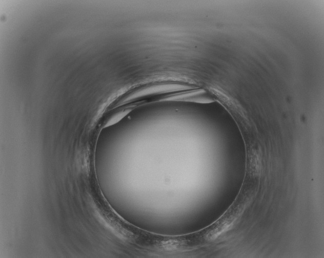 X0000067000064200603311625