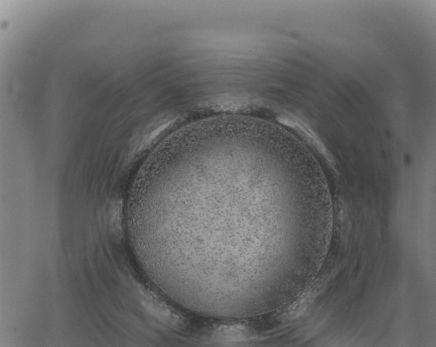 X0000067000066200603311625