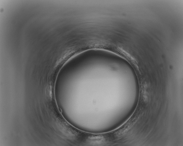 X0000067000067200603311625