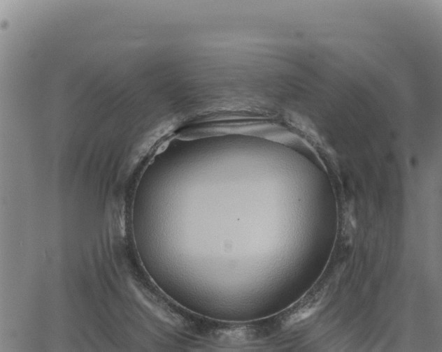 X0000067000068200603311625