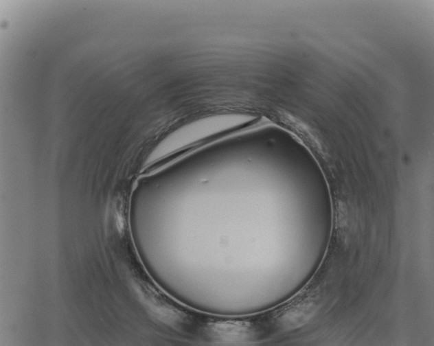 X0000067000069200603311625