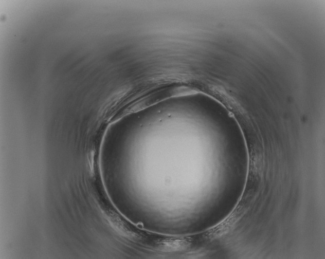 X0000067000070200603311625