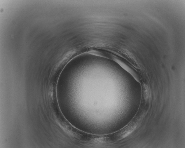 X0000067000072200603311625