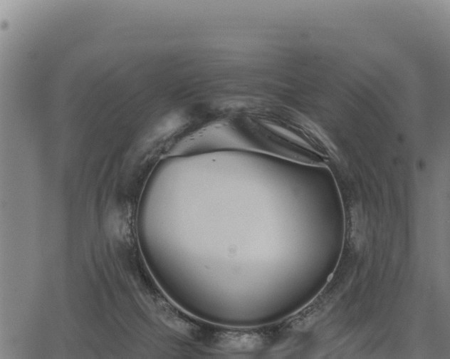 X0000067000073200603311625