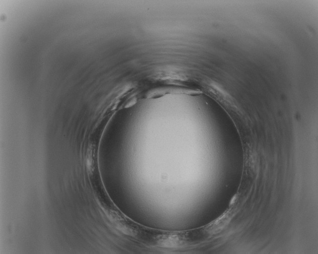 X0000067000074200603311625