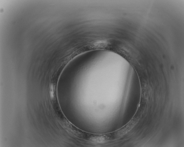 X0000067000075200603311625