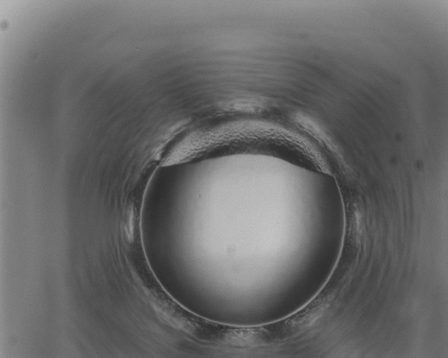 X0000067000076200603311625