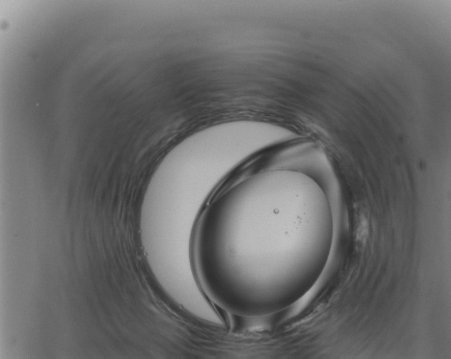 X0000067000077200603311625