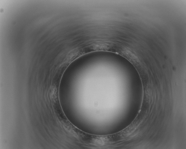 X0000067000079200603311625