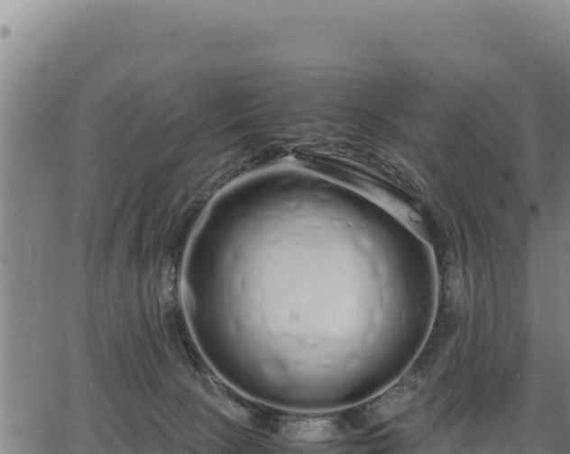 X0000067000081200603311625