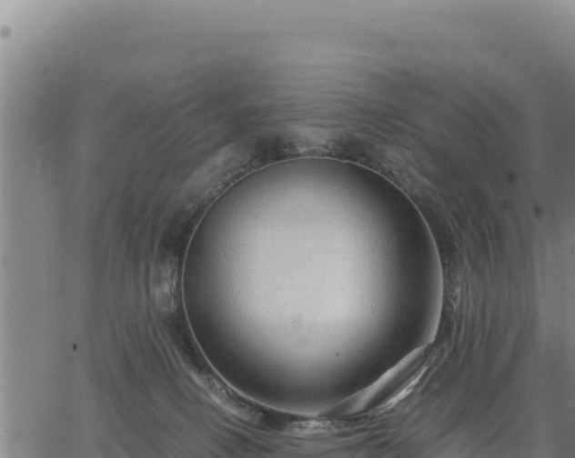 X0000067000082200603311625