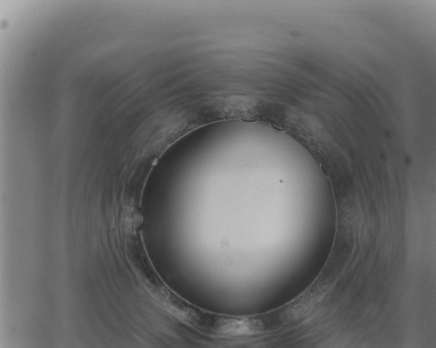 X0000067000083200603311625