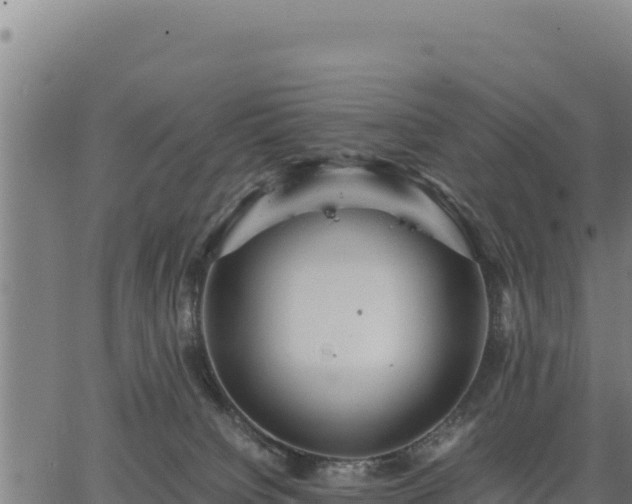 X0000067000084200603311625