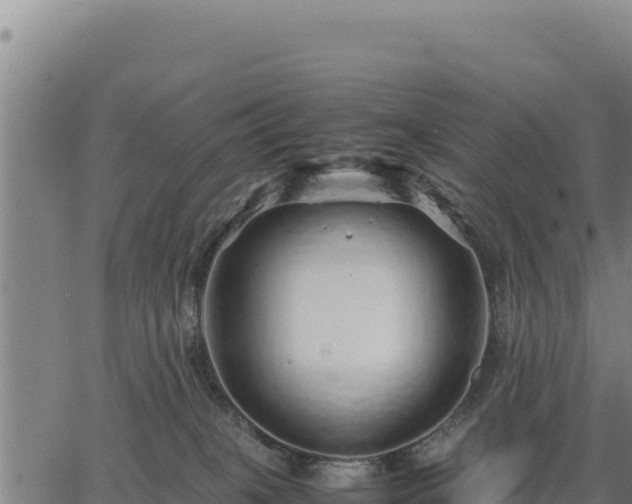 X0000067000085200603311625