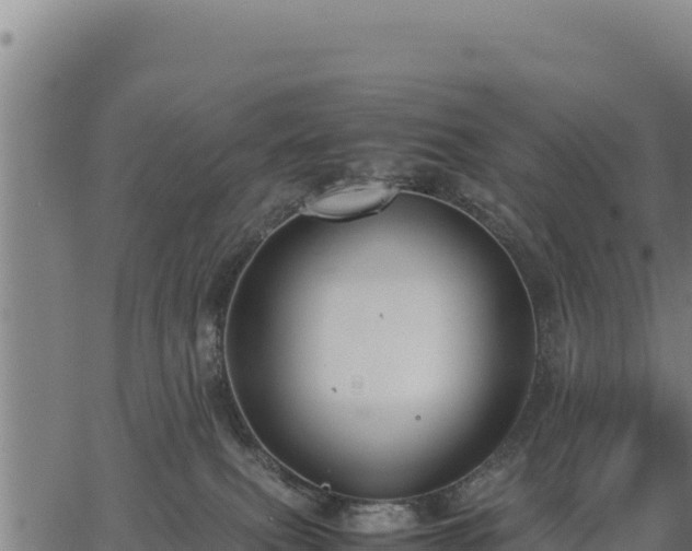 X0000067000087200603311625