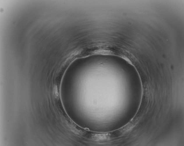 X0000067000089200603311625