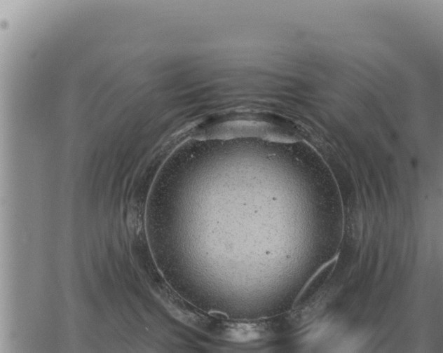 X0000067000091200603311625