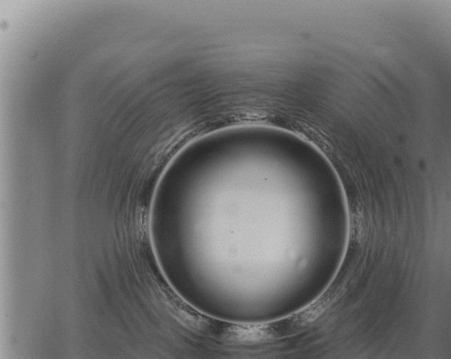 X0000067000093200603311625