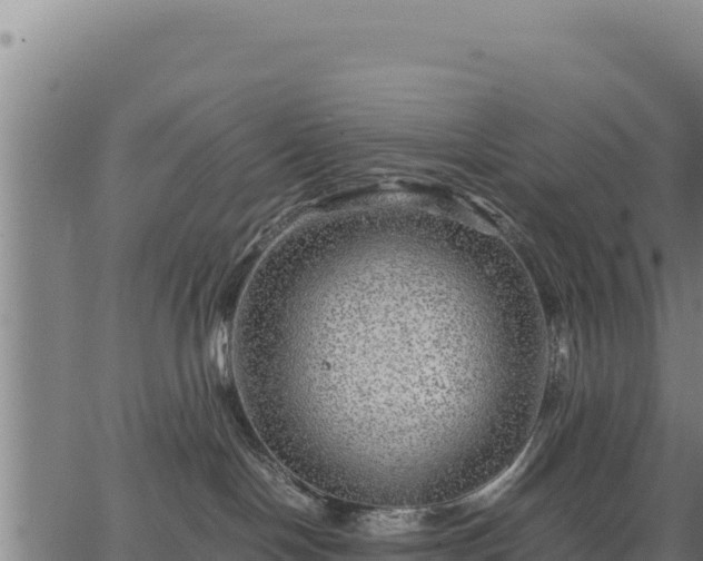 X0000067000094200603311625