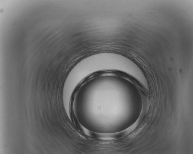 X0000067000096200603311625