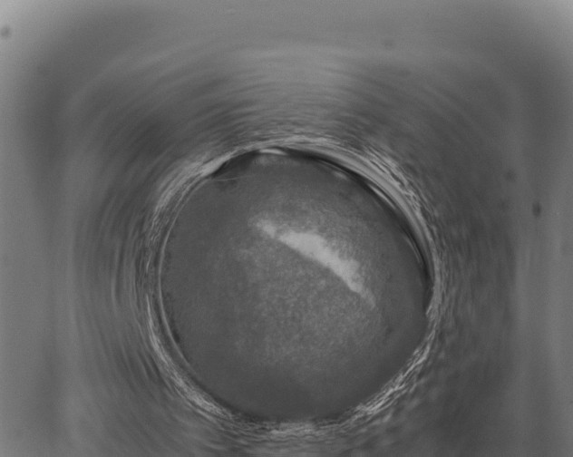 X0000067000097200603311624