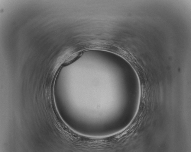 X0000067000099200603311624