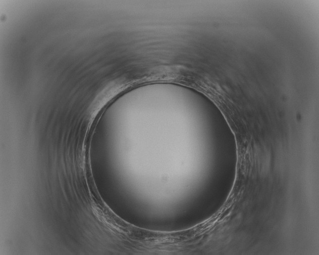 X0000067000100200603311624