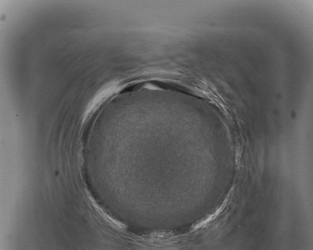 X0000067000101200603311624