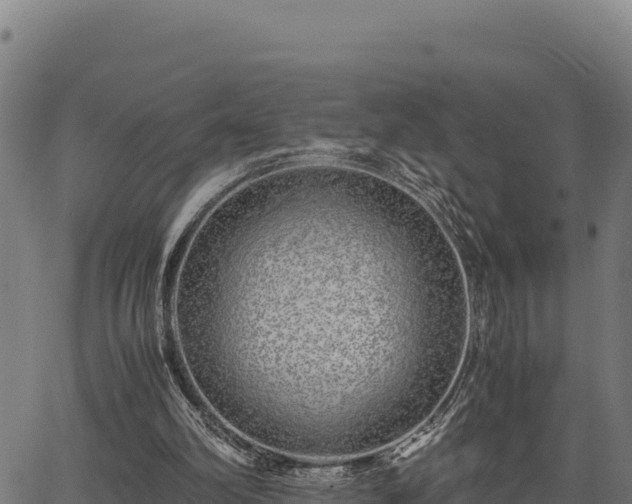 X0000067000102200603311624