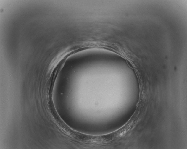 X0000067000103200603311624