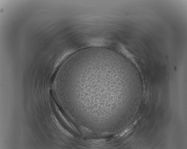 X0000067000106200603311624