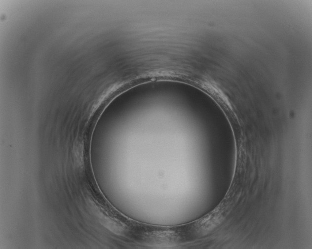 X0000067000108200603311624