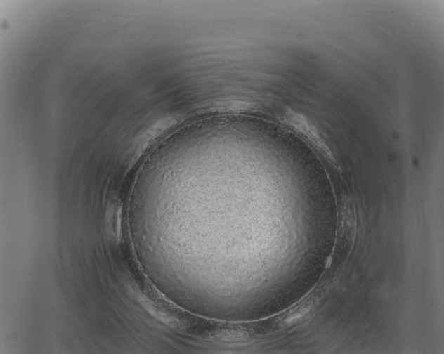 X0000067000110200603311624