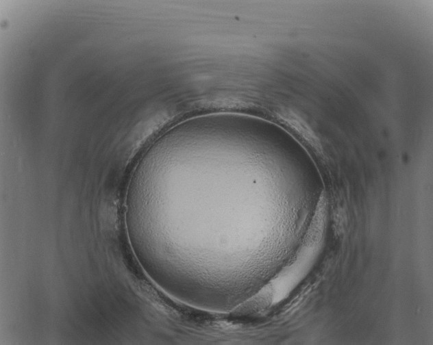 X0000067000111200603311624