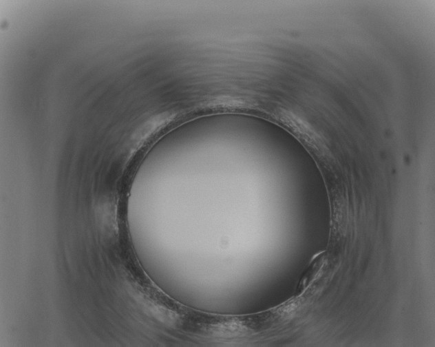 X0000067000112200603311624