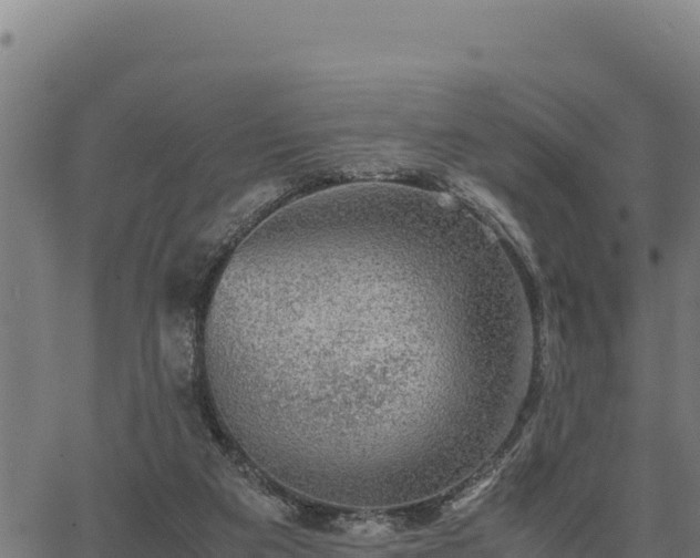 X0000067000113200603311624