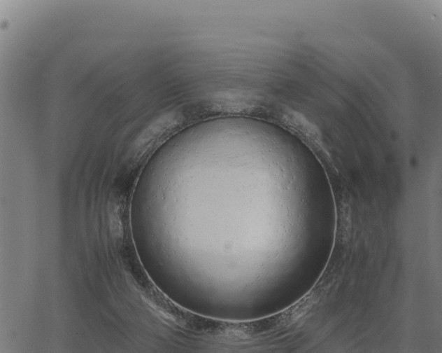 X0000067000114200603311624